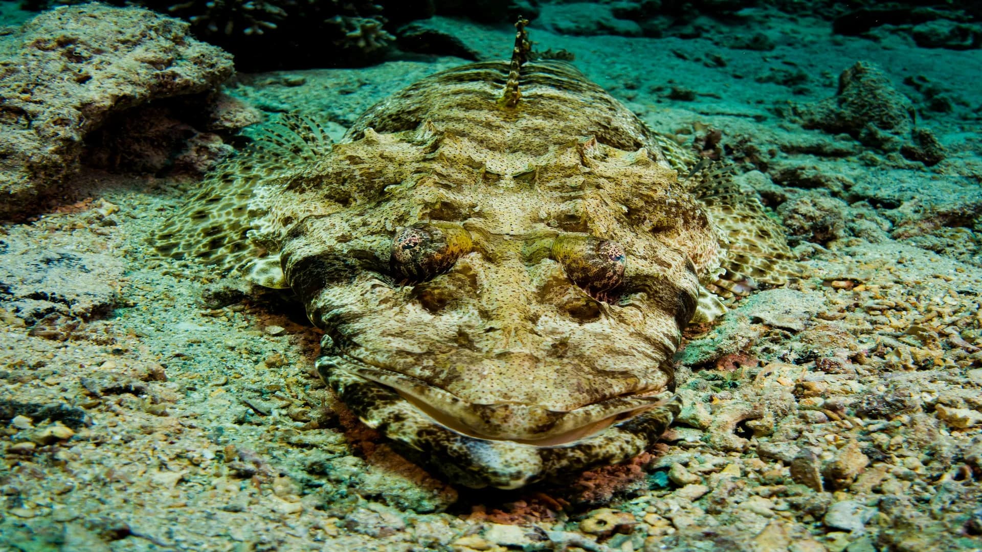 Nefertari VIP Cruise: Pharaonic Elegance in Hurghada