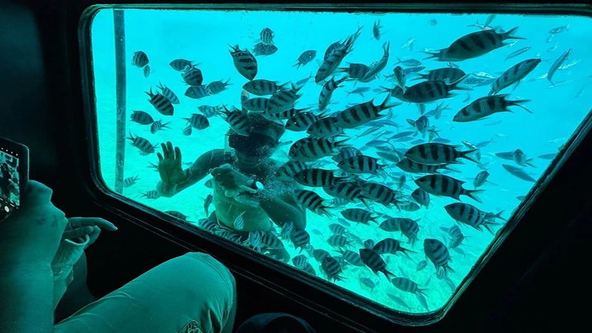 U-Boot Entdeckung: Hurghadas verborgene Riffe