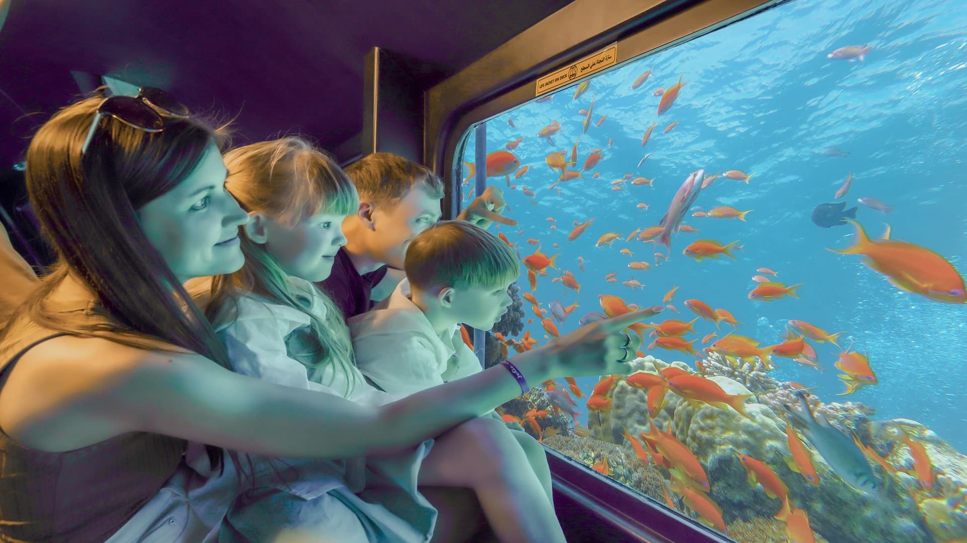 Sea Scope: Underwater Wonders of Hurghada