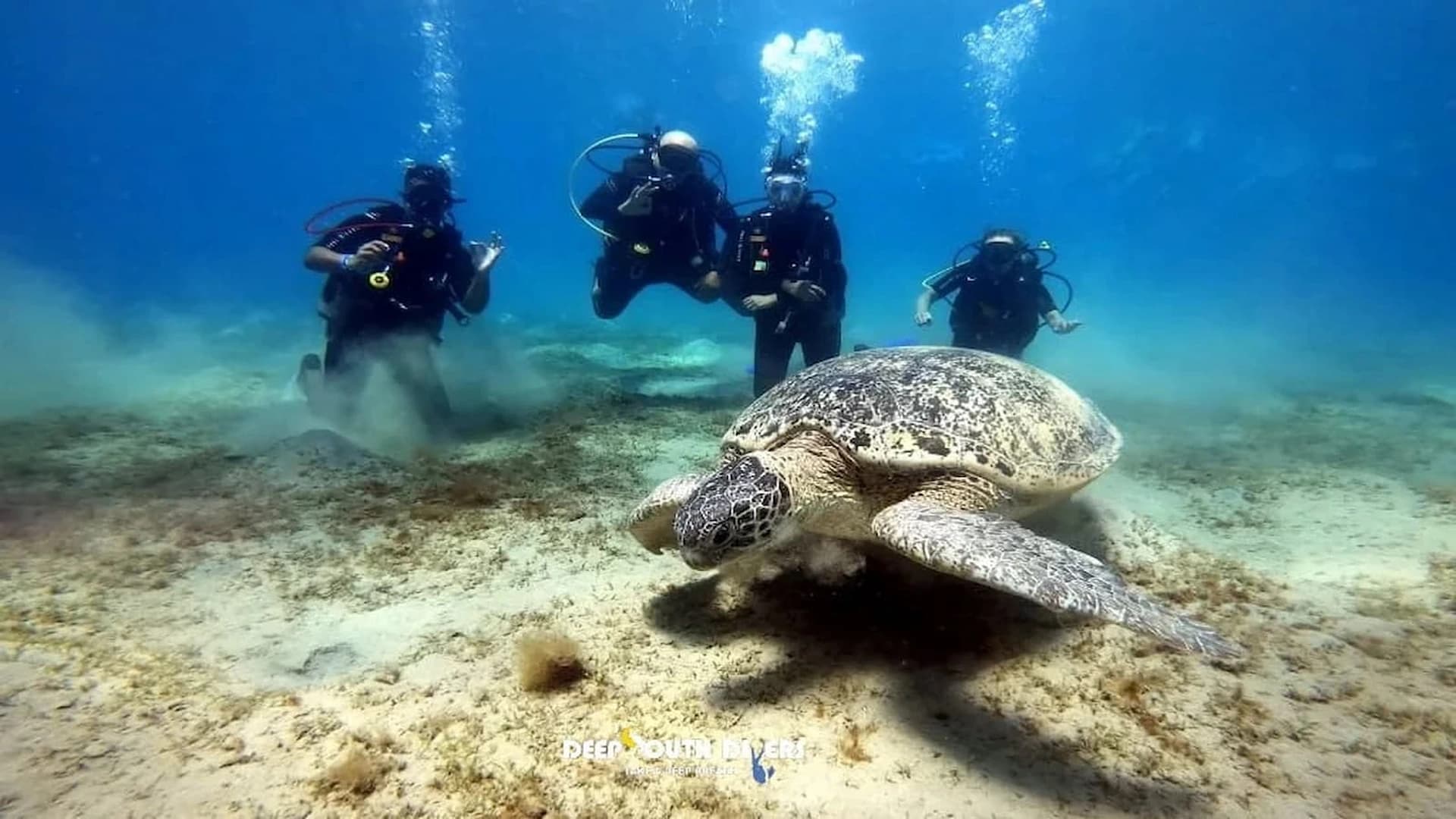 Marsa Alam Deep Blue: Elite Diving Adventure