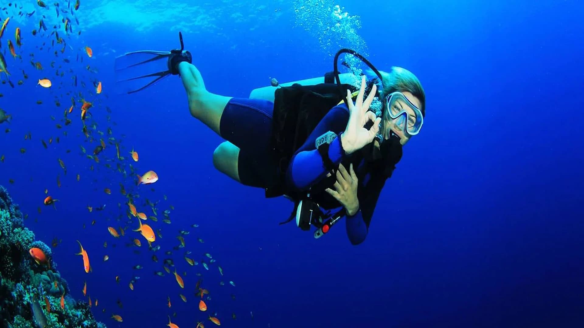 Marsa Alam Deep Blue: Elite Diving Adventure