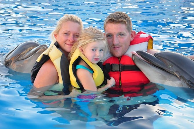 Dolphin House: Wild Encounter in Marsa Alam