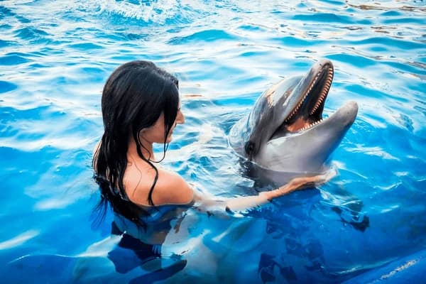 Dolphin House: Wild Encounter in Marsa Alam