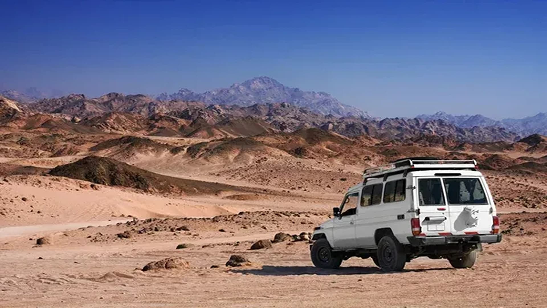 Wild Silence: Marsa Alam Premium Jeep Expedition
