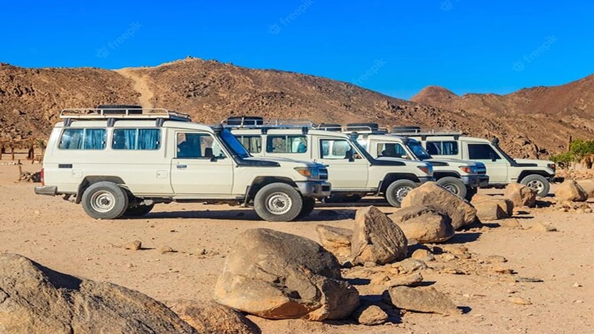 Wild Silence: Marsa Alam Premium Jeep Expedition