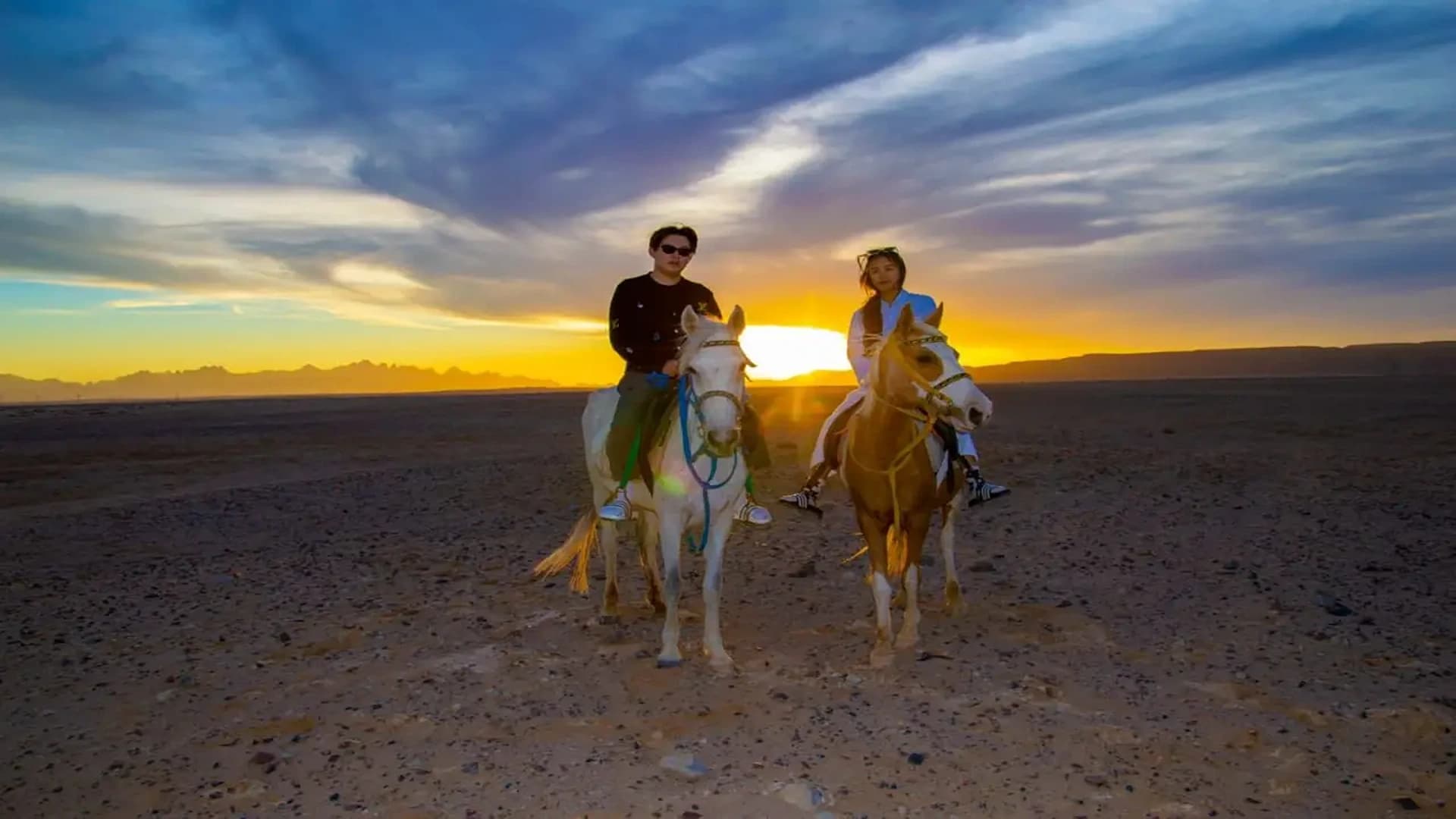 Desert & Waves: The Ultimate Horseback Expedition (Hurghada)