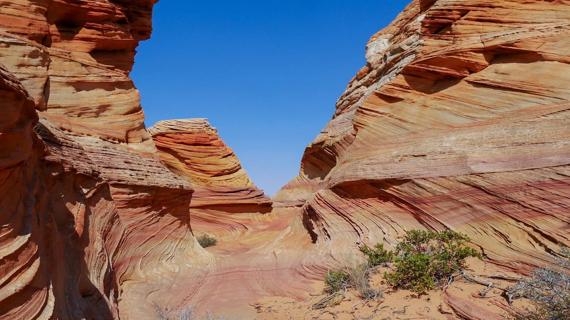 Hidden Gems: Wishwashi & Ras Shitan — Sharm El Sheikh