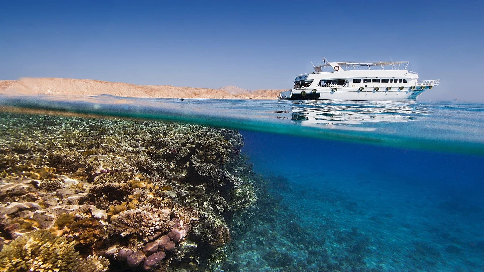 Blue Horizon: Tiran Island Luxury Cruise – Sharm El Sheikh