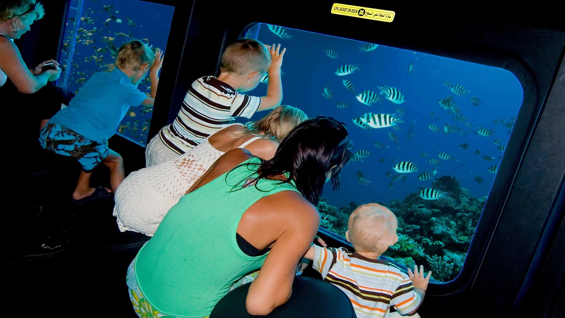 Reef Explorer: Semi-Submarine Safari – Sharm El Sheikh