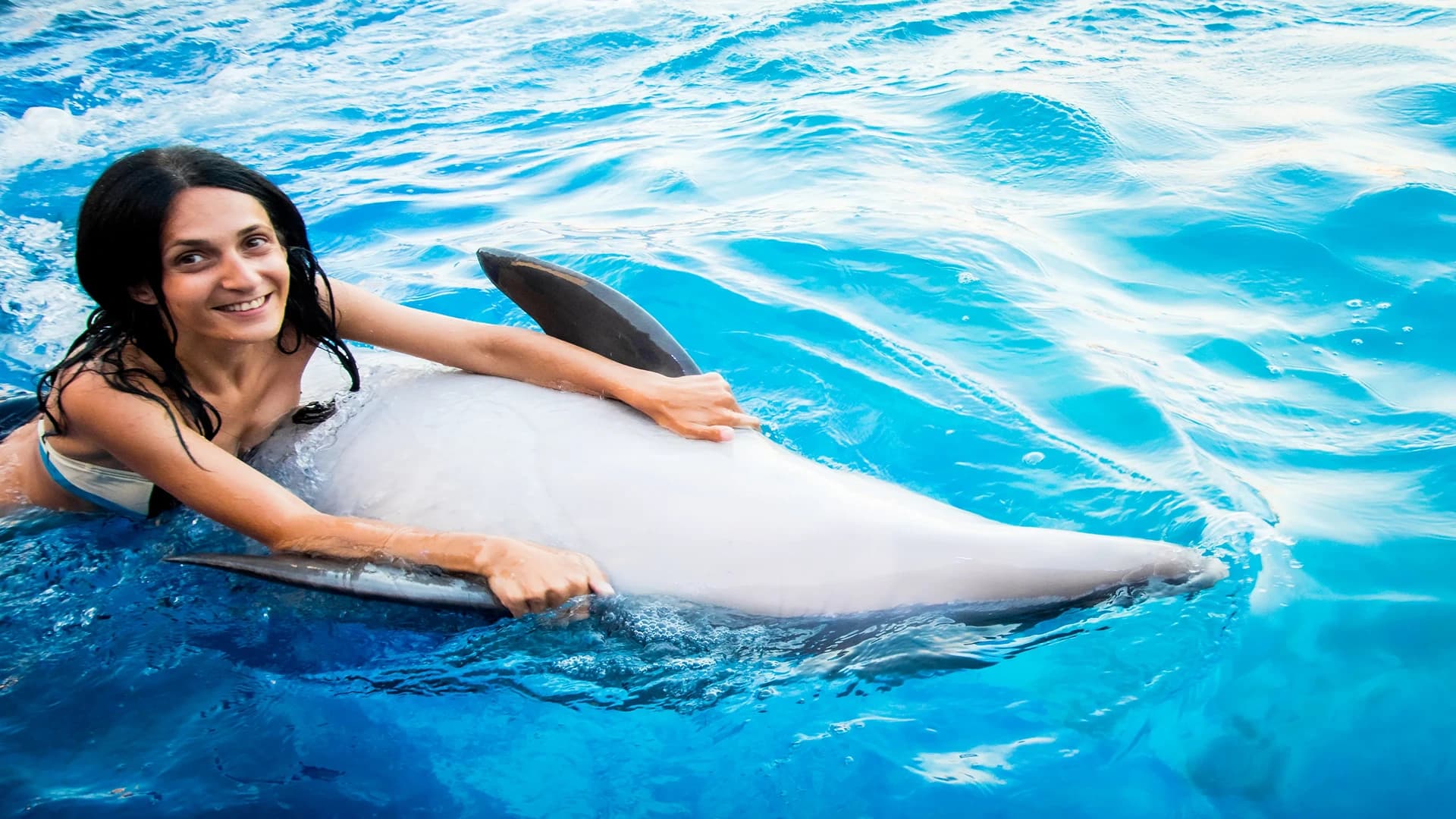 Dolphin Magic: Private Encounters – Sharm El Sheikh