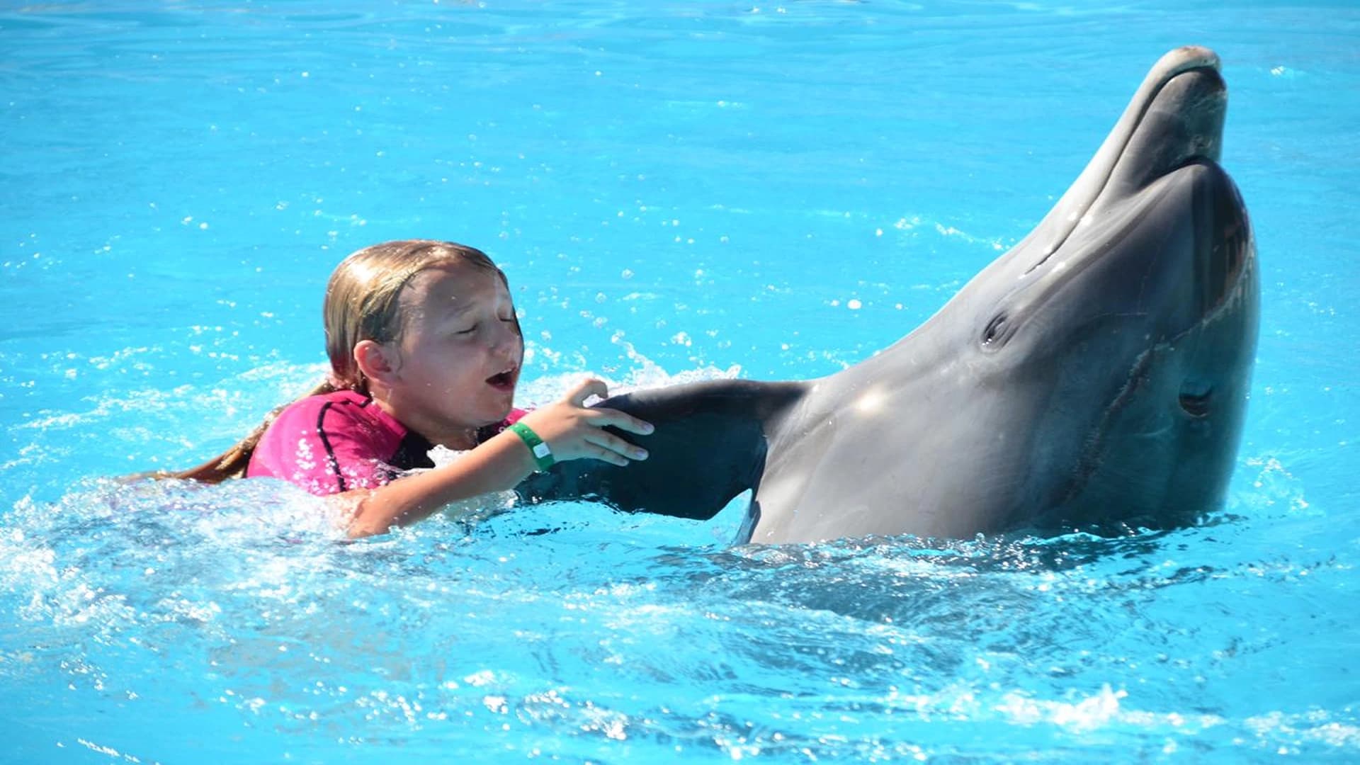 Dolphin Magic: Private Encounters – Sharm El Sheikh