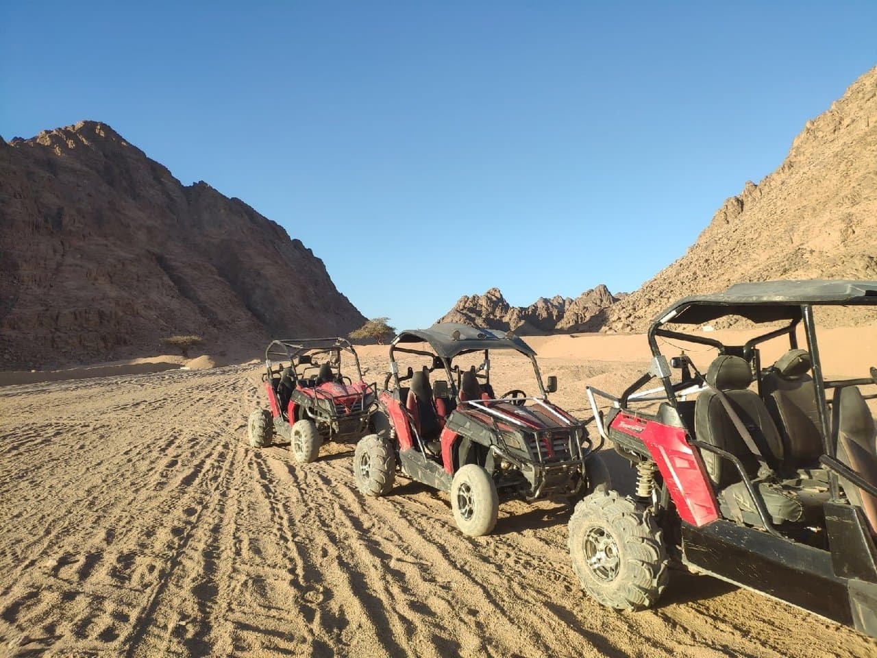Desert Dust: Family Buggy Adventure – Sharm El Sheikh