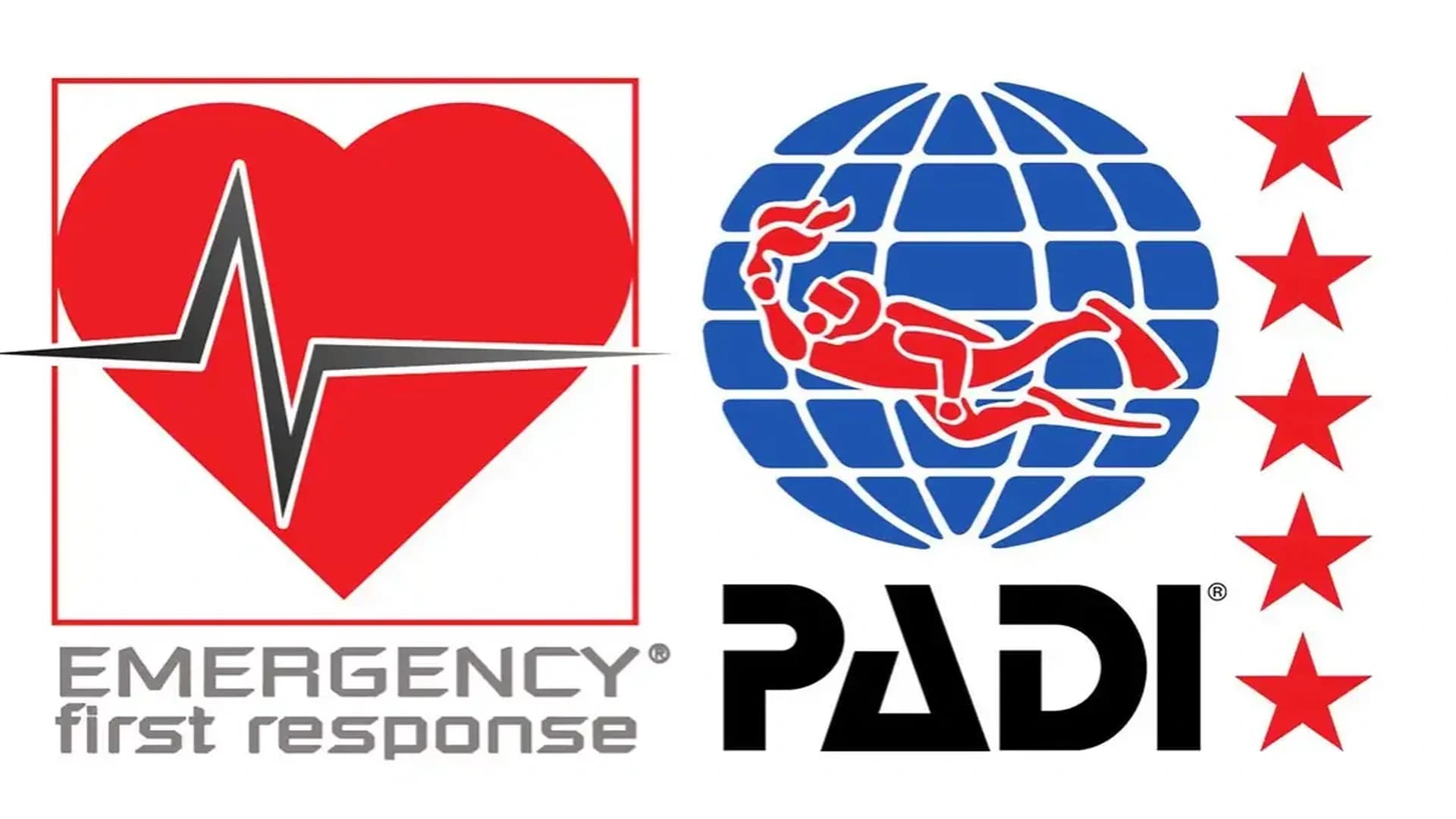 Life Saver: Professional EFR Training – Sharm El Sheikh