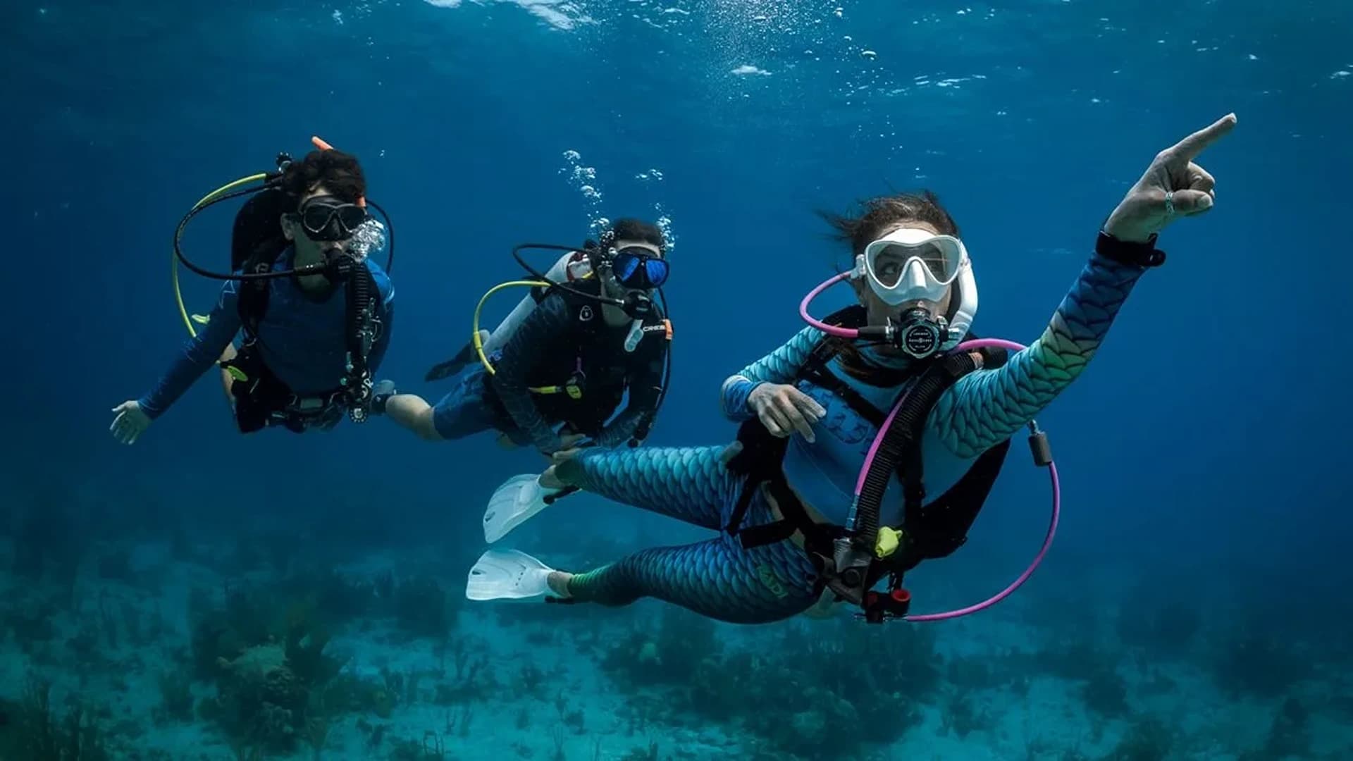 PADI Open Water Diver Kurs – Sharm El Sheikh