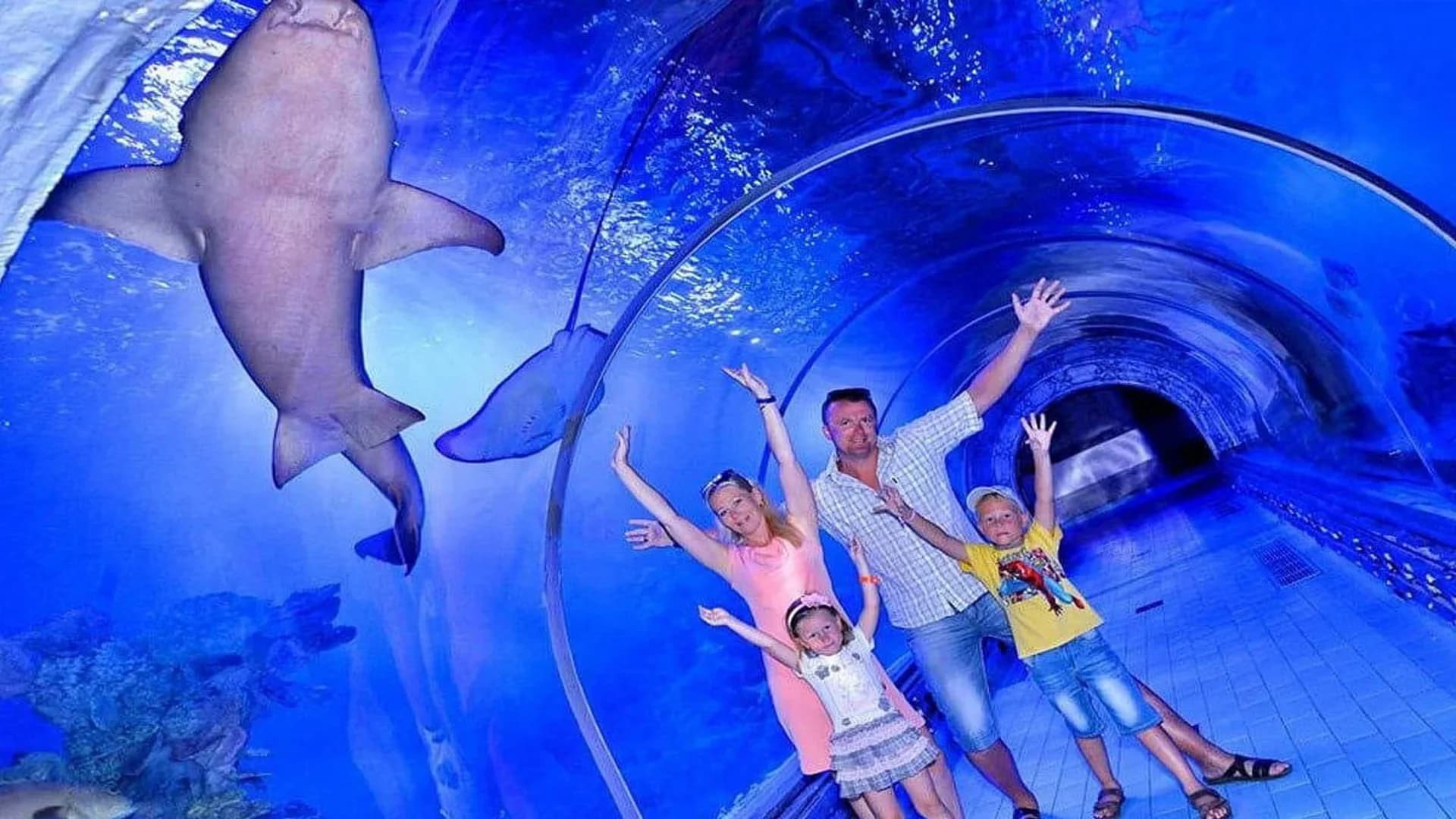 Das große Aquarium-Abenteuer in Hurghada - Familie-Tour - in Hurghada - Bild 2