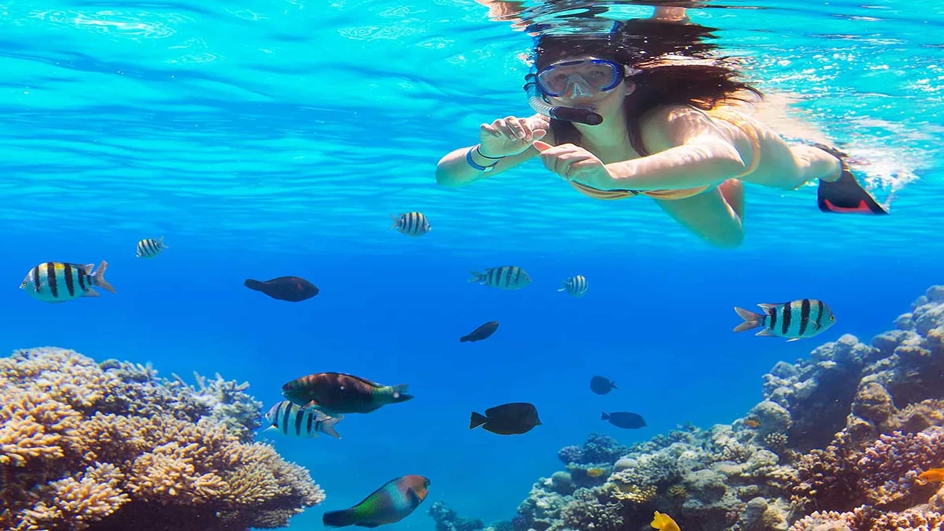 Hurghada Rotes Meer Schnorchelausflug - Kreutzfahrt-Tour - in Hurghada - Bild 2