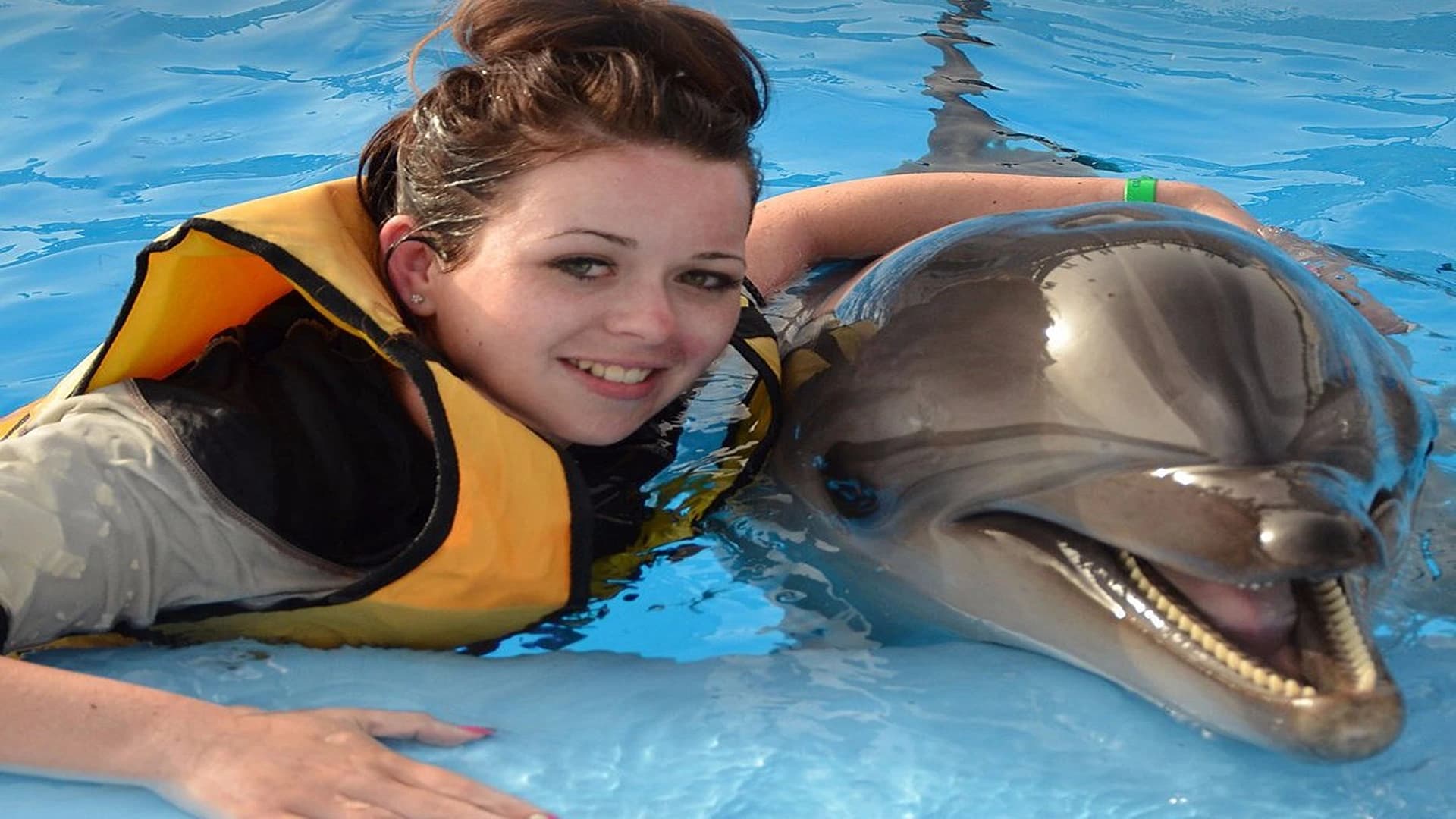 Hurghada Delfinschwimmen Erlebnis - Familie-Tour - in Hurghada - Bild 3