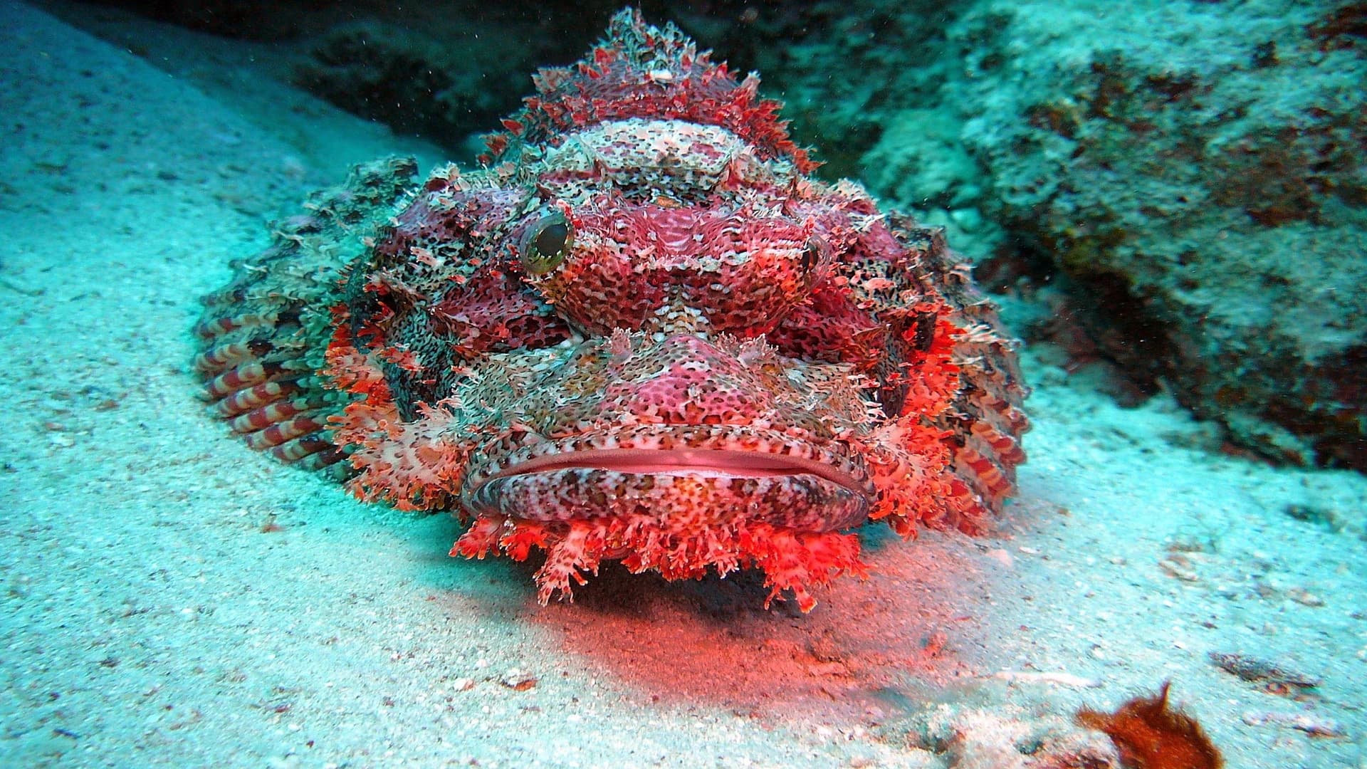 Hurghada Orange Bay Inseltraum - Strand-Tour - in Hurghada - Bild 4