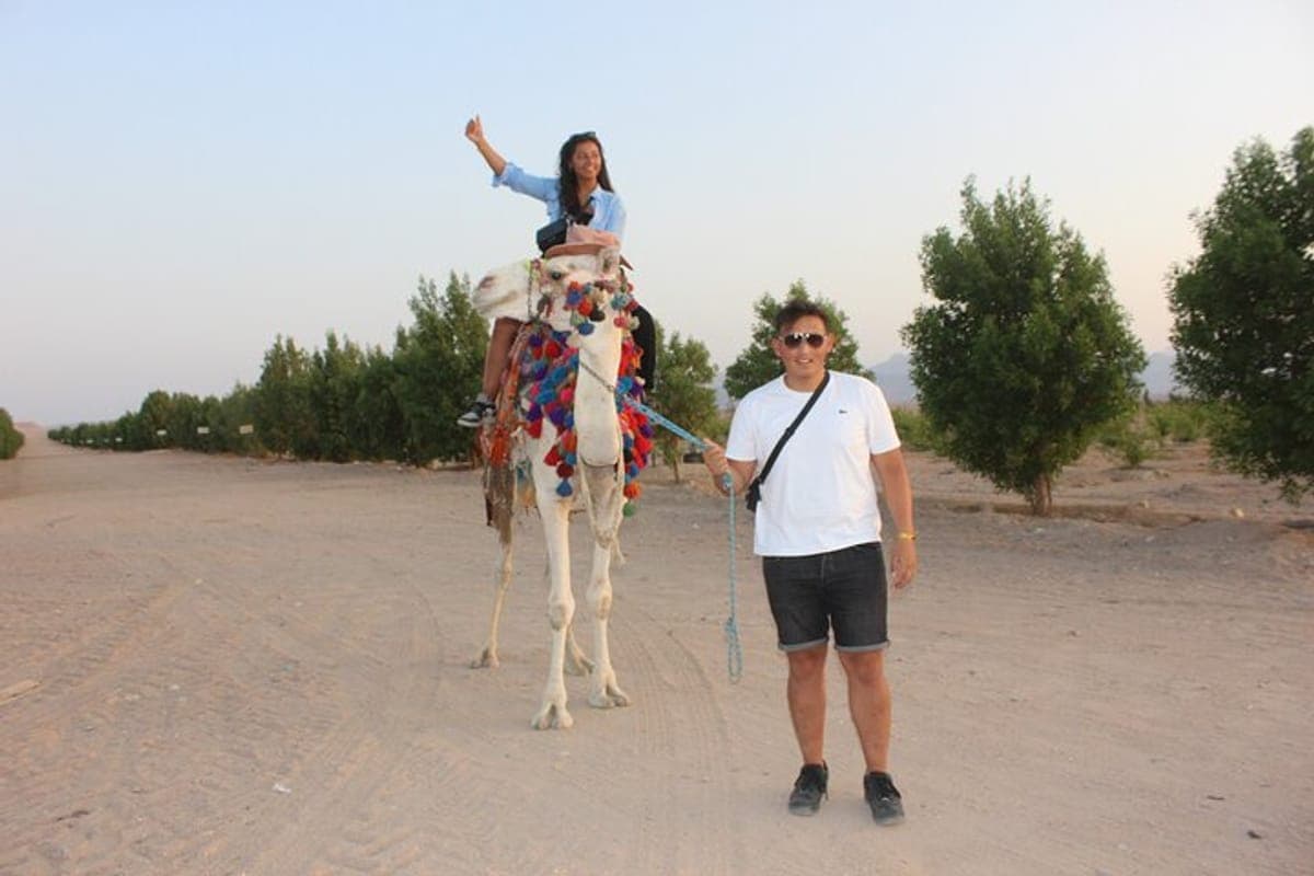 Hurghada Sunset Desert Safari - Desert tour - in Hurghada - photo 4