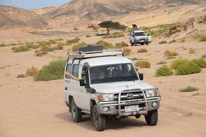 Jeep Safari 2026 Desert Expedition - Desert tour - in Hurghada