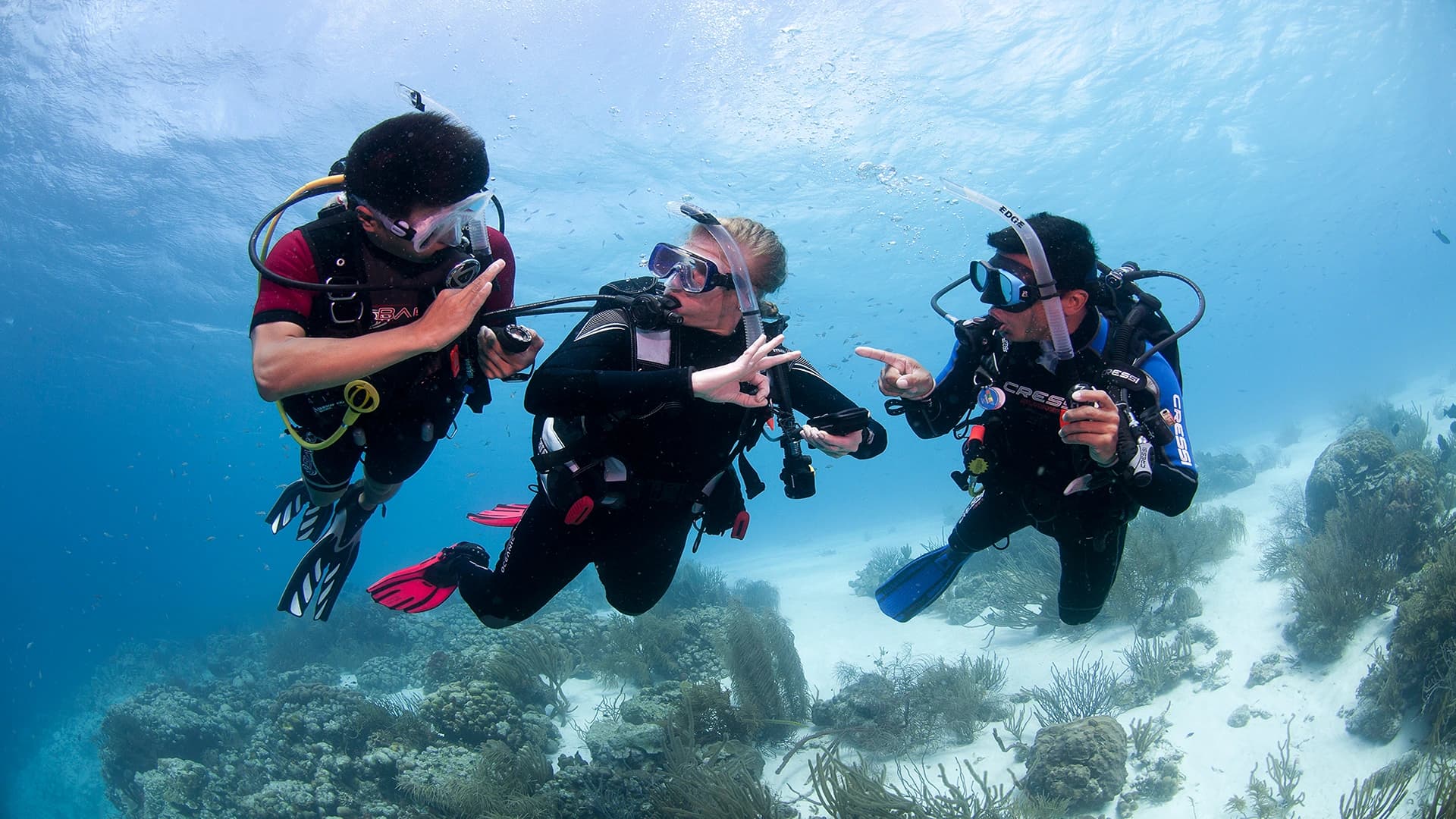 Sharm El Sheikh PADI Advanced Open Water Kurs - Abenteuer-Tour - in Sharm El Sheikh - Bild 2