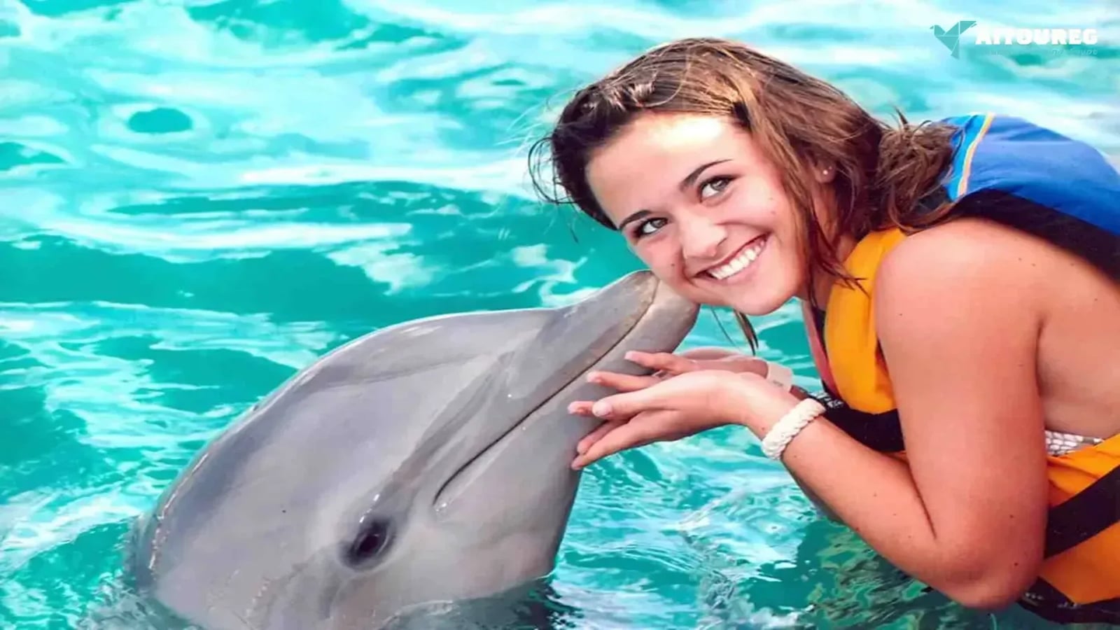 Dolphin Show Sharm El Sheikh | Family Dolphin Show - Family tour - in Sharm El Sheikh - photo 1