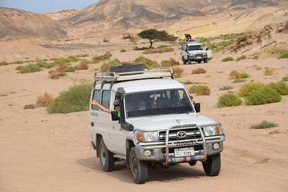 Jeep Safari 2026 Desert Expedition - Desert tour - in Hurghada - photo 1