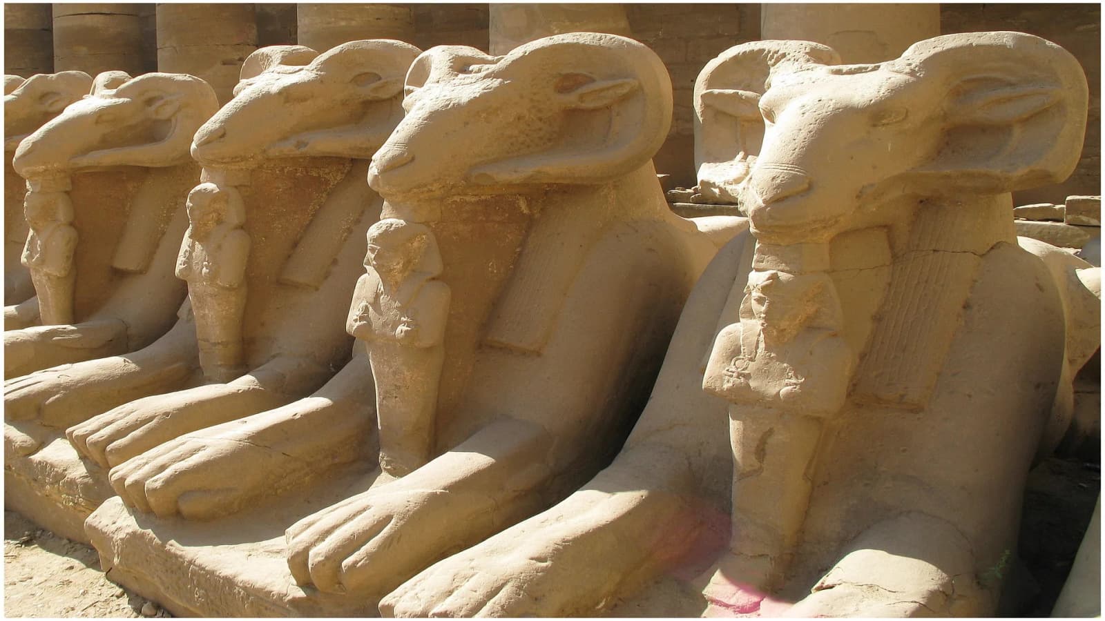 Ägypten Ausflüge buchen: Hotel, Strand oder lokaler Anbieter?
