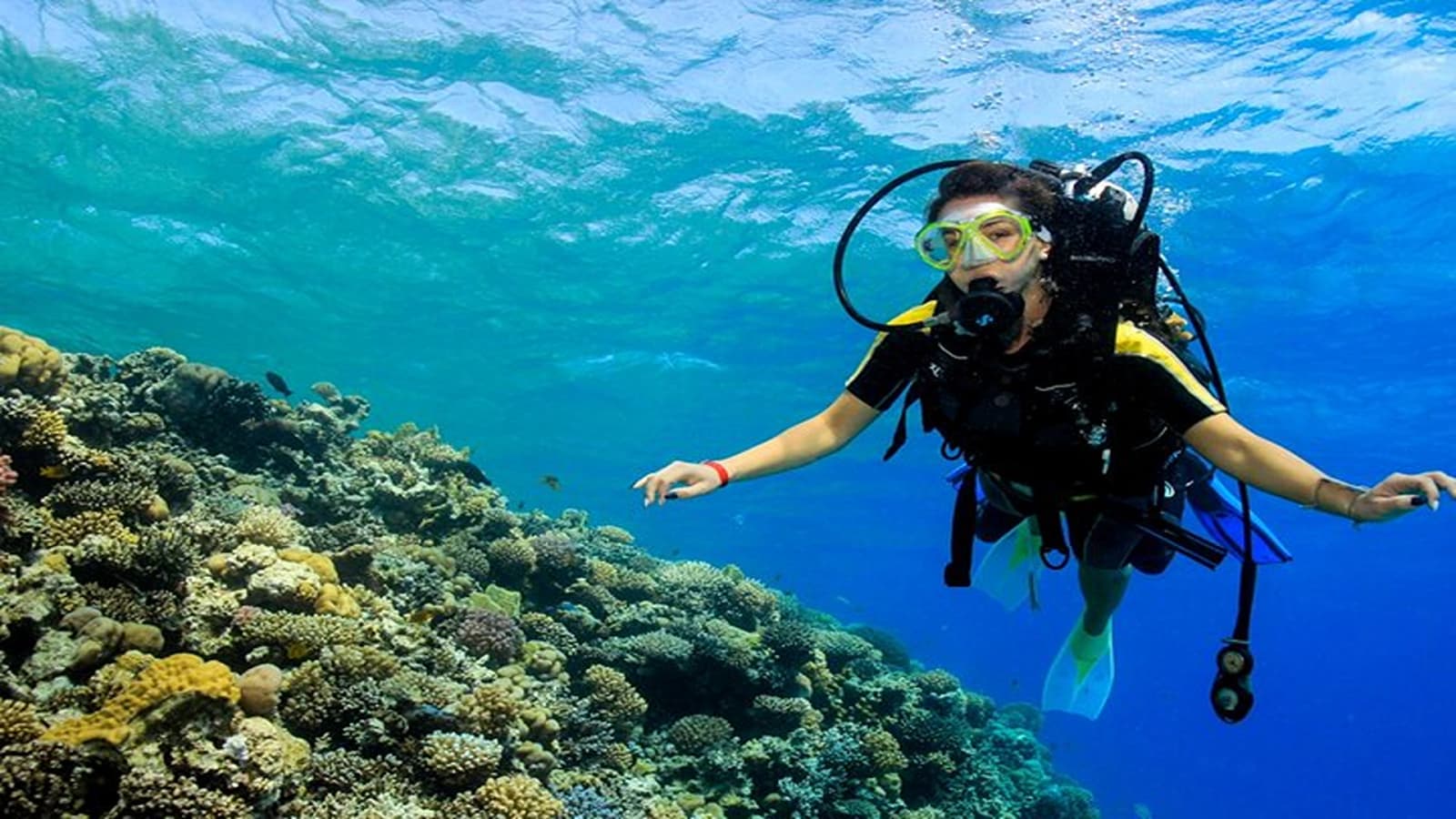 Deep Blue Diving Marsa Alam | Red Sea Dive Trip - Adventure tour - in Marsa Alam