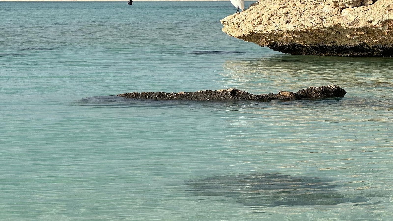 Sharm El Luli Beach Marsa Alam | Snorkeling Day Trip - Beach tour - in Marsa Alam - photo 1