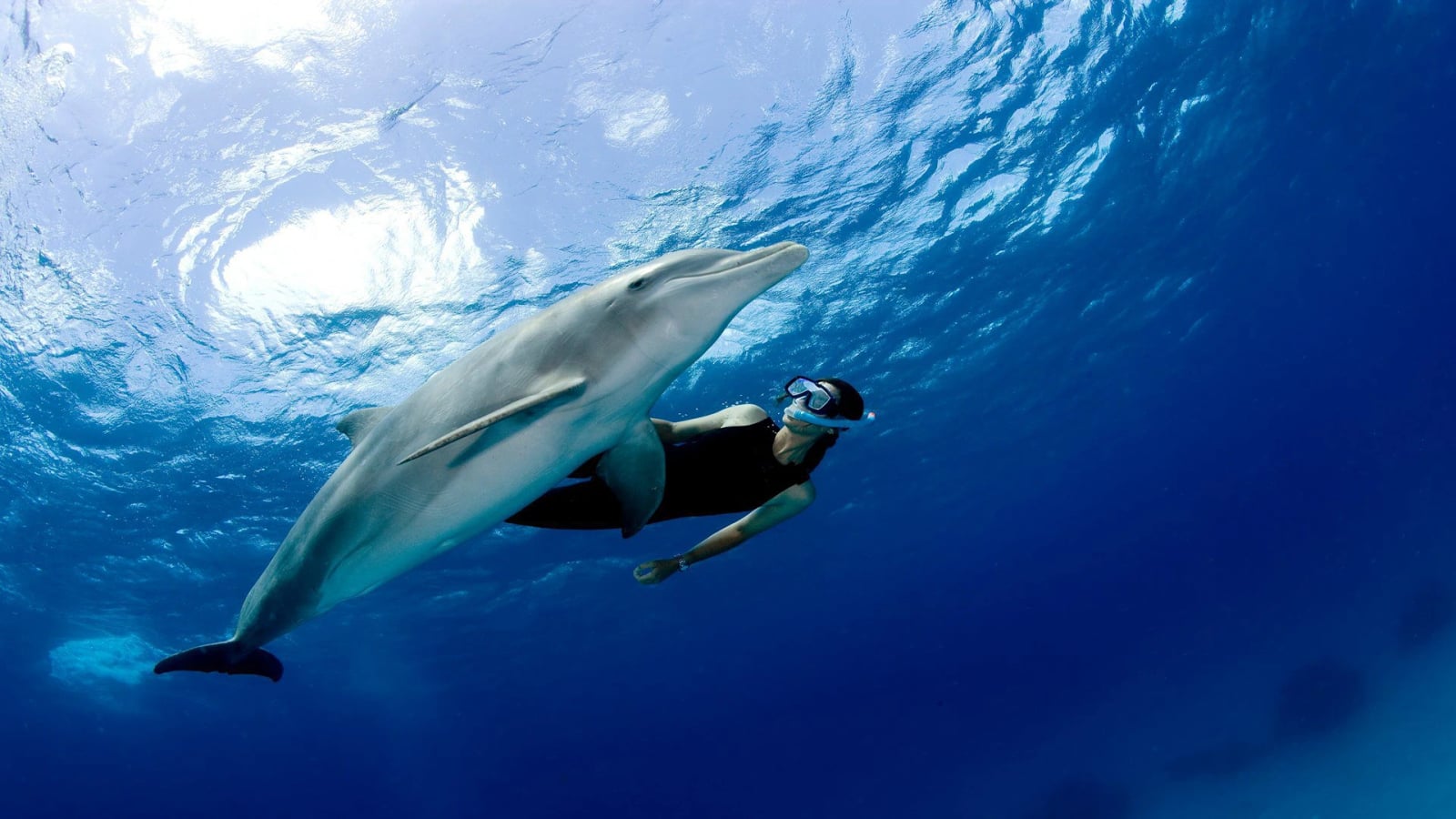 Best Time to Visit Sharm El Sheikh