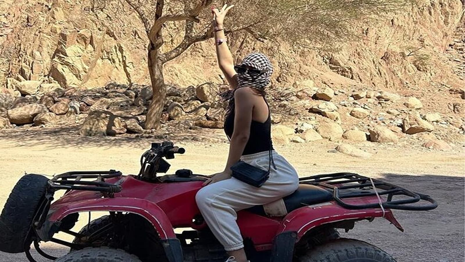 Marsa Alam Tours: Best Excursions, Snorkeling Trips & Desert Safaris